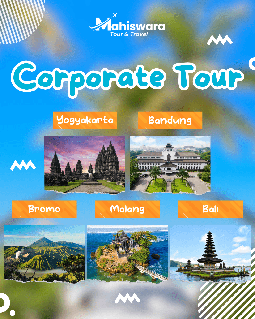 Corporate Tour