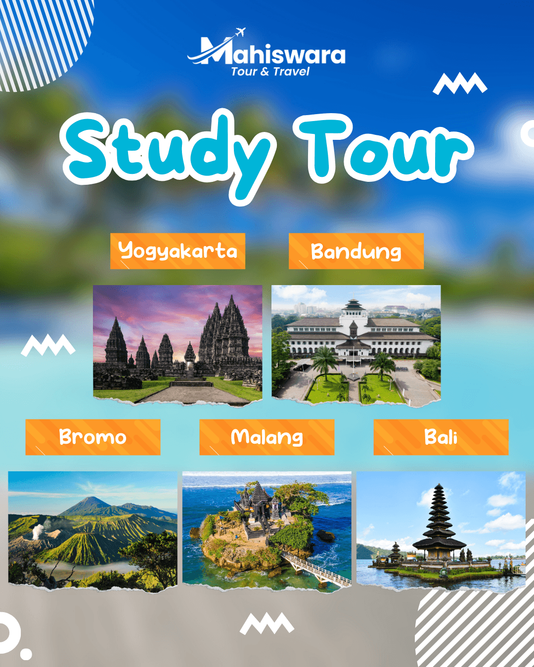 Study Tour